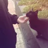 toutaali5