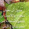 5lostn