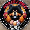 Poules 2 Brou