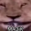 sigmo_toilet