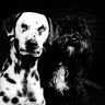 migue_0530