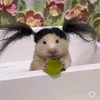 sim.paty.ca