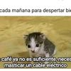 hola20_.0