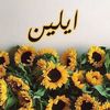 dinaaelsayed272