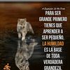 felix_guilco