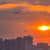 amorepaz160