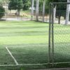 disciplina694