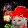 aibtjdau_1.3