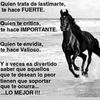 victoriaascencio09