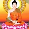 nht.linh677