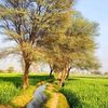 mudasar_29