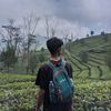 dzxyx