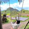bucin_kusut117