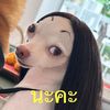 keeyai44