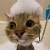 loisvgee__1512