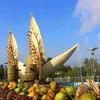 changtraixudua071
