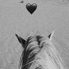 x_chiro.ma_6