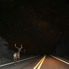 woah.texas