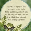 ngoluyen2312