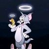 abdullahamir648