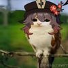 miirsyadd