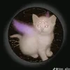 emi_nxx
