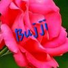 lovelylo5677