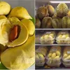 hiennguyen_990