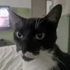 fraj0l