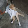 geo___00
