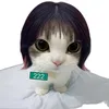 eloss_exi