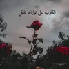 user129227570