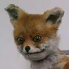 zachull1