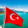tolga_43
