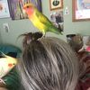 birdybee77