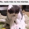 alonsosasi