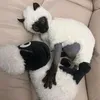 bo.ngc.cht