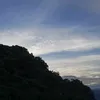 ni_kus3