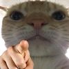 chan_myae79