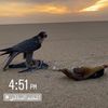 ٢٤أبريل