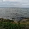 anvendare4