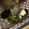 piggiez1962