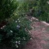 yasin.karim018