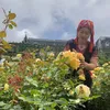 ninhmi