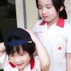 nec_tarrr1