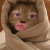 callcutepie