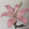 ji_w.o.o