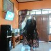 nadiaenengeneng