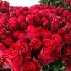 🌹🌹عالم الورد🌹🌹