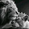 usergu6a8zuc0y